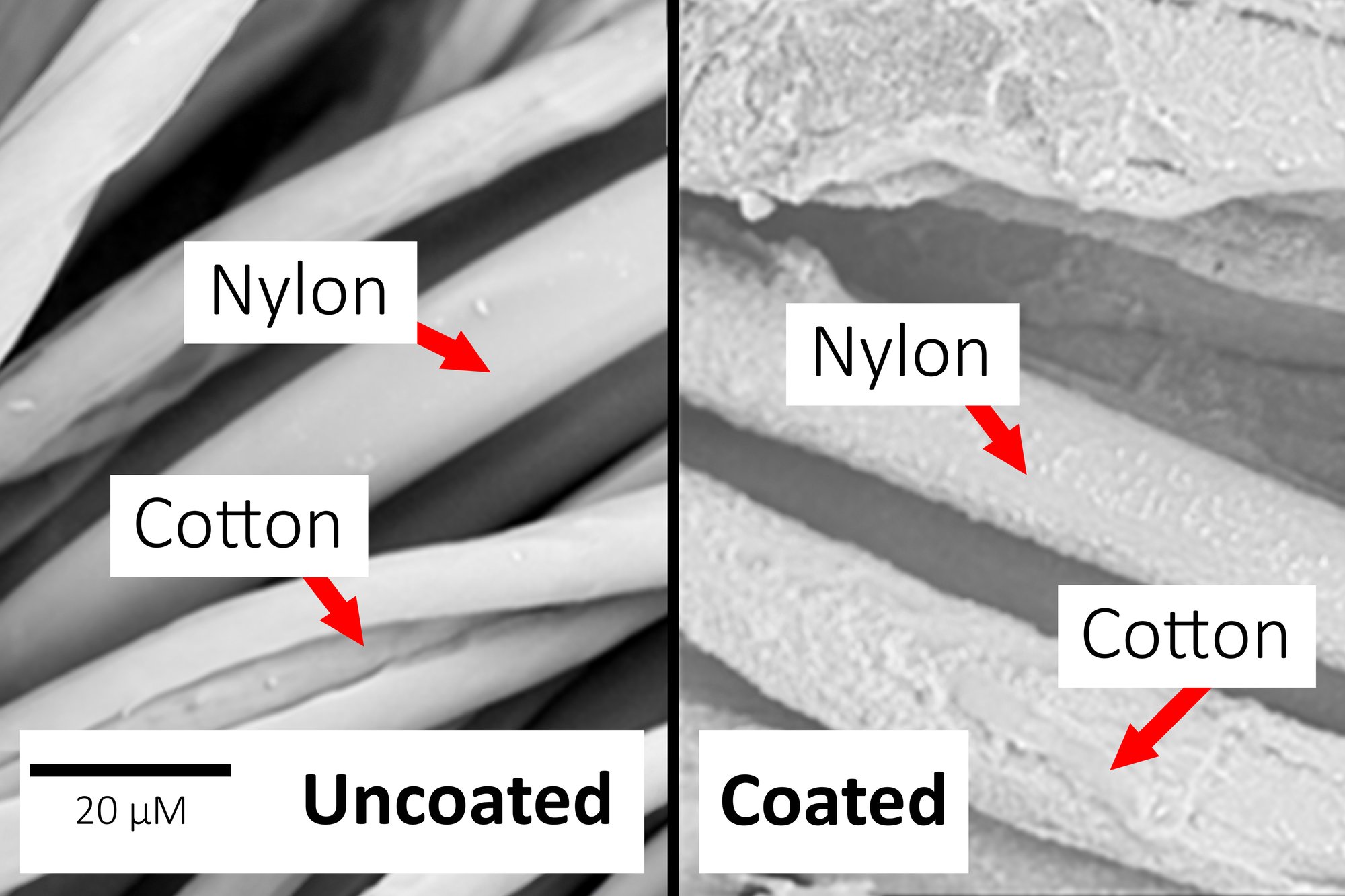 SEM image of Coated vs Uncoated Nylon and Cotton Fibers