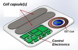 cell-capsles