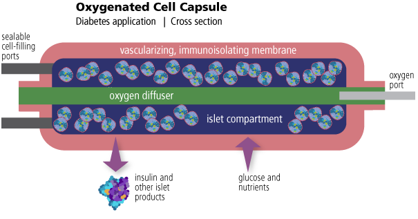 oxygenated-cell-capsule oxygenated-cell-capsule