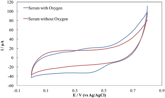 CVs of laccase cathode in human serum